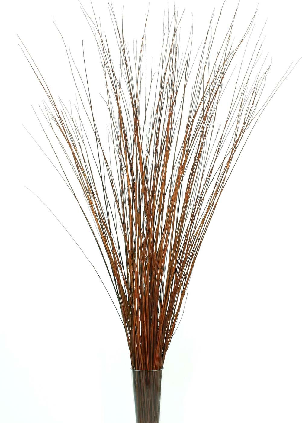 dried flowers sold direct by the producer at Farmers Market Online