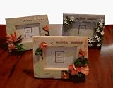 NEW! Resin Tropical Flower 2.5 x 3.5 Picture Frame(Flower=White Tiare)