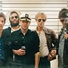 Image of Deer Tick