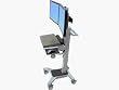 ERGOTRON 24-194-055 NF Dual WideView WorkSpace
