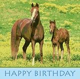 Wild Horses Paper Happy Per Pack