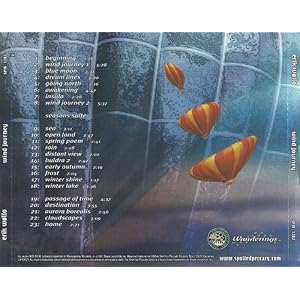 71d rBi7RYL. AA300  Erik Wøllo, Wind Journey et les sons du Nord