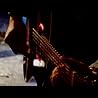 Artist Video