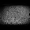 Lonesome Wyatt and the Holy Spooks "Feast of Fear"