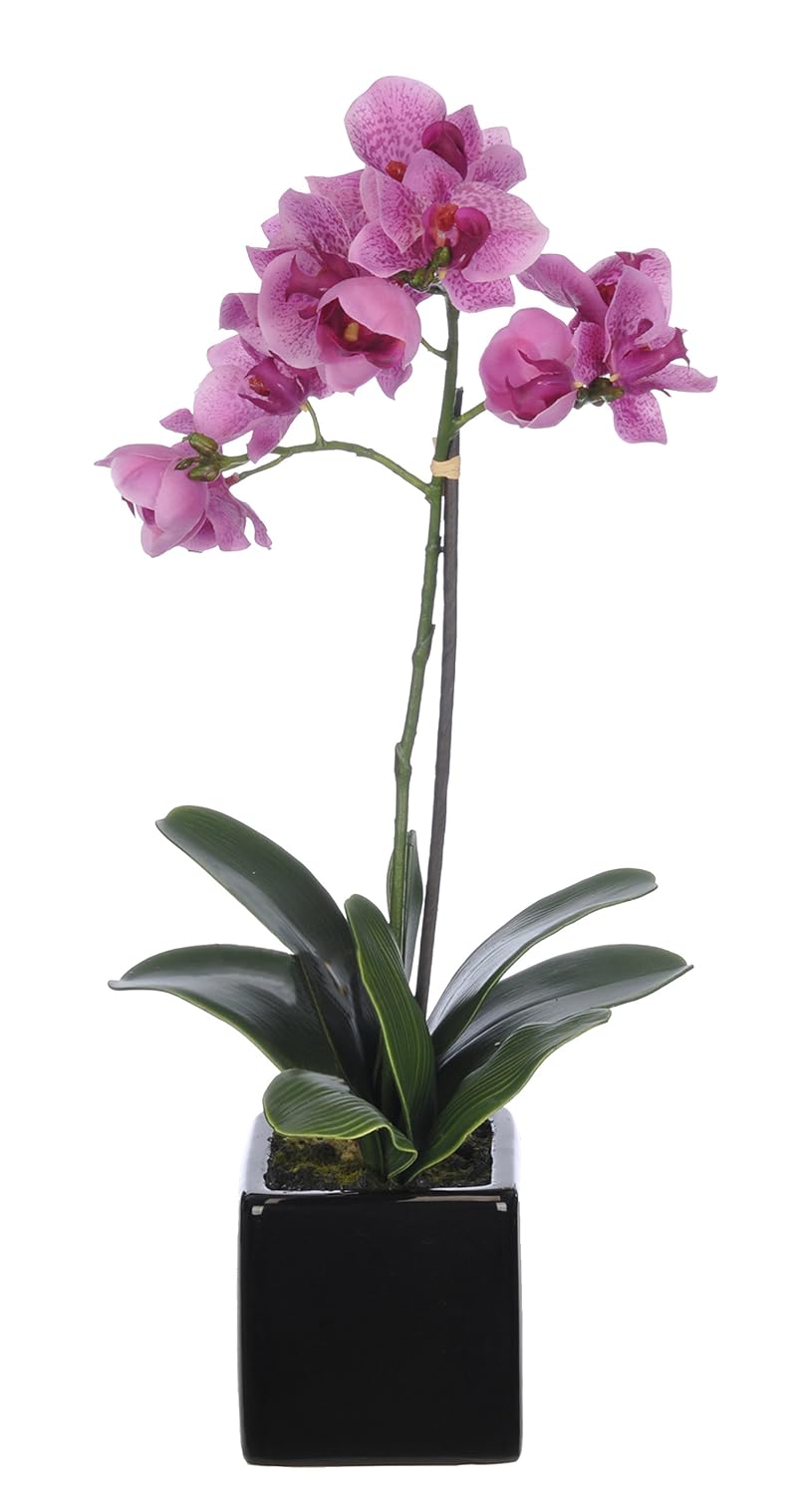 House of Silk Flowers Artificial 17-Inch Phalaenopsis Orchid, Mini, Lavender