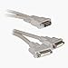 Electronics : DVI-D Dual Link Y Splitter Cable