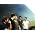 Thumbnail image of Snow Patrol