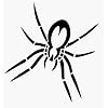 Visit This External Website