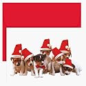 Christmas Puppies Holiday Cards