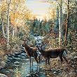Brewster Round the World 259-72024 Pre-pasted Wall Mural Wild Deer, 72-Inch Height x 72-Inch Width