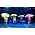 Thumbnail image of Kidz Bop Kids