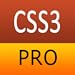 CSS3 Pro Quick Guide