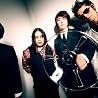 KING BROTHERS�_�̉摜