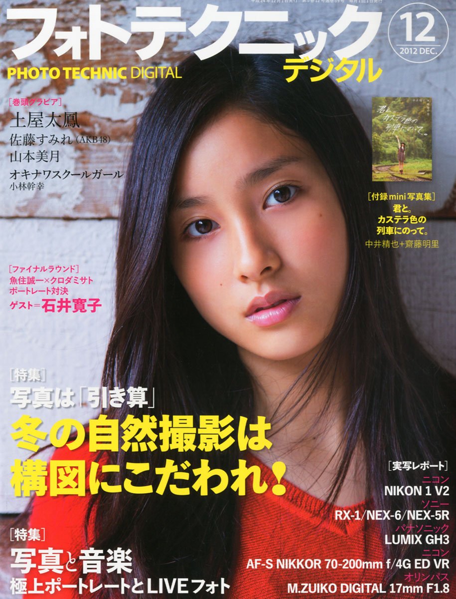 フォトテクニックデジタル 2012年 12月号 [雑誌] 