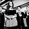 Image of The Skints