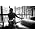 Thumbnail image of Band of Horses
