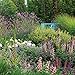 2016 English Country Gardens Wall Calendar