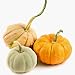 pumpkin spice flavored tea