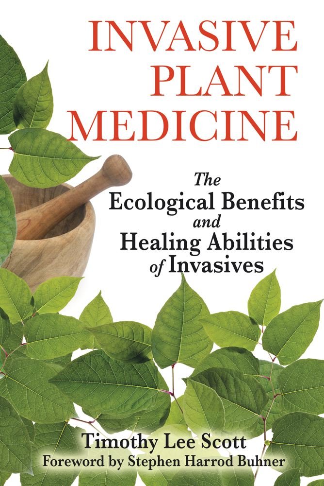 Invasive Plant Medicine: The Ecological Benefits and Healing ...