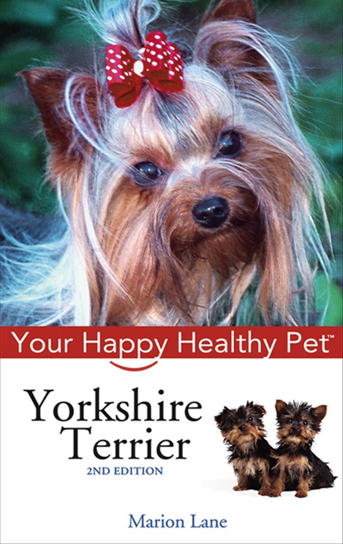 Yorkshire Terrier: Your Happy Healthy Pet: Marion Lane ...