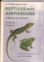 Reptiles and Amphibians of Britain & Europe (Collins Field Guide)