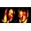 Vignette de The Chemical Brothers