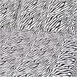 Dreamy Linens Black Zebra Print Pillowcase Set