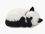 Perfect Petz Saimese Kitten Bundle