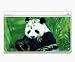 All Products : Animal Kingdom Panda Decorative Protector Skin Decal Sticker for Nintendo DS Lite