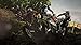 Motocross Race