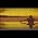 Video of Paul McCartney