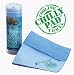 Frogg Toggs Chilly Pad Towel