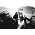 Thumbnail image of Band of Horses