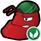 Ant Mayhem 71g9N14Tr2L. SL160 Global Domains International Home Based Business Review