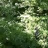 Video of Portastatic