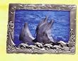 Innovative Pewter 4 x 6 Dolphin Picture Frame