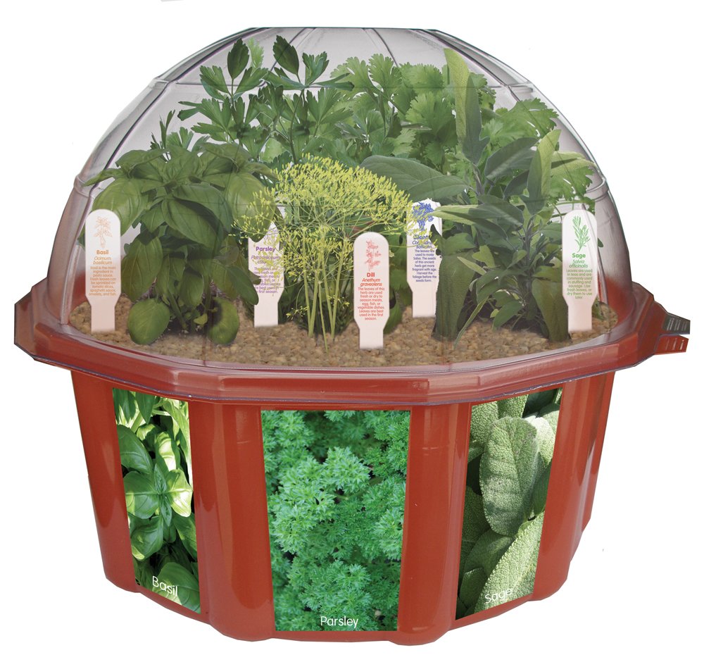 New Dome Terrarium Home Growing Kit Indoor Herb Plants Seed Vegetables
