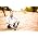 Miniaturansicht von Till Br�nner