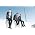 Miniaturansicht von Foster the People