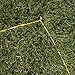 Park & Sun Sports Portable Outdoor Volleyball Net System: Tournament 179, Orange