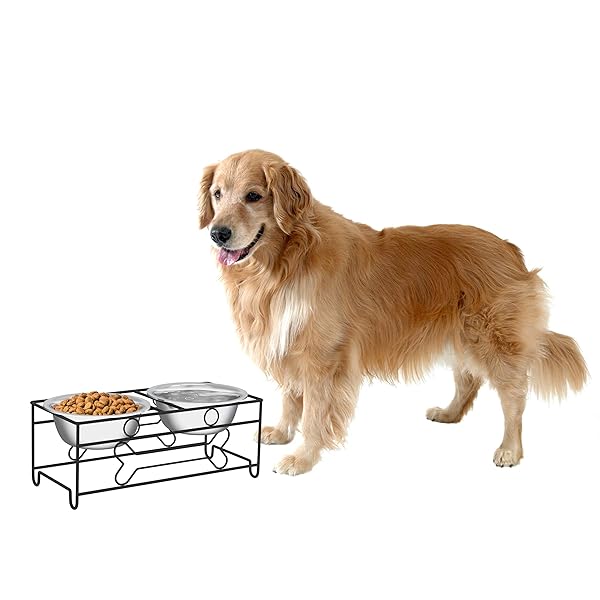 Petmaker Stainless Steel Raised Food Water Bowls With Decorative