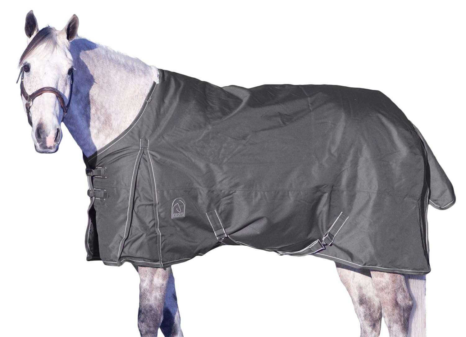 Best Medium Weight Horse Blankets Best Medium Weight Horse Blankets