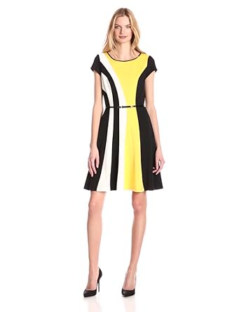 Ellen Tracy Women's Cap Sleeve Color Block Fit and Flare Dress, Black ...