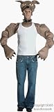 Adult's Bulldog Halloween Costume