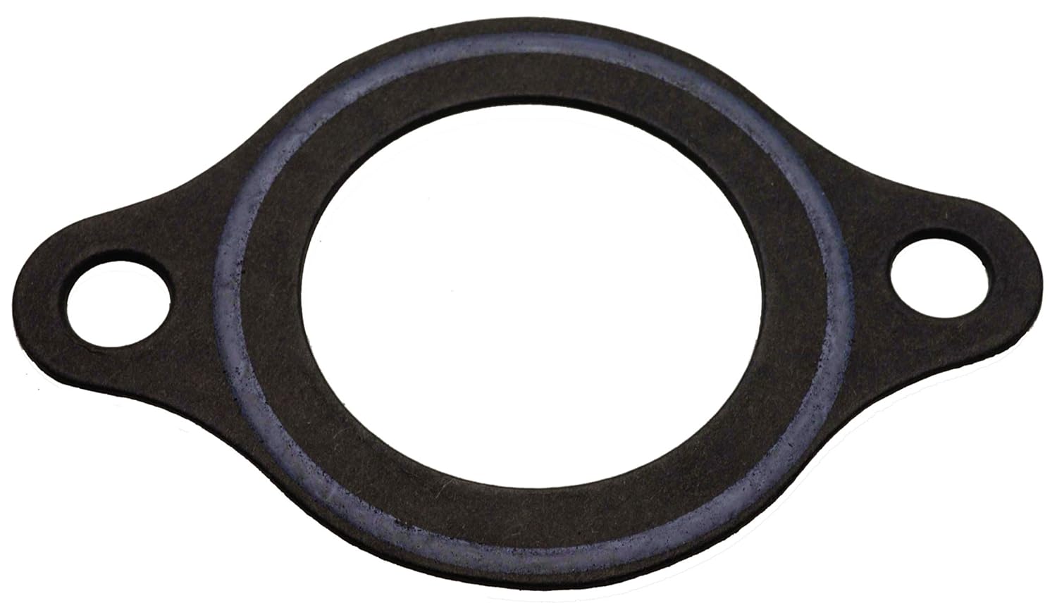 mr. gasket reuseable thermostat gasket Team Camaro Tech