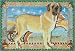 Pipsqueak Productions C953 Holiday Boxed Cards- Mastiff