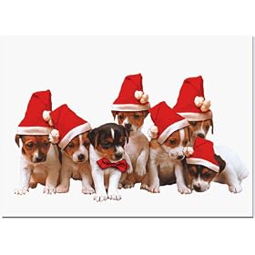  Christmas Puppies Boxed Holiday Christmas Cards