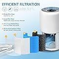 Isingo 2 Pack Core 300 Replacement Smoke Remover Filter Core 300-RF-SR