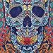 Sunshine Joy 3D Skull Tapestry - Beach Sheet - Hanging Wall Art (30X45 inches)