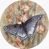 Thirstystone TS2152 Natural Sandstone Coaster Set Butterfly Garden